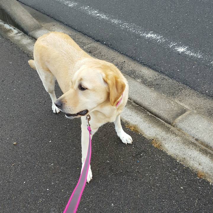 090e3808 577e 4e4c 9c6d 47f659998ac3