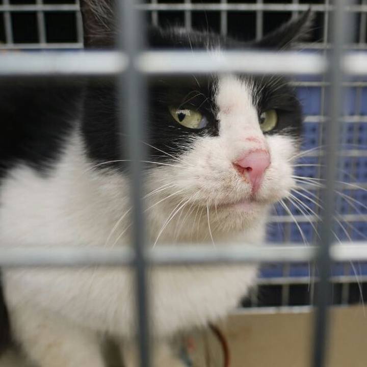 090f84d2 2ed3 4931 884e 41709d87e0df