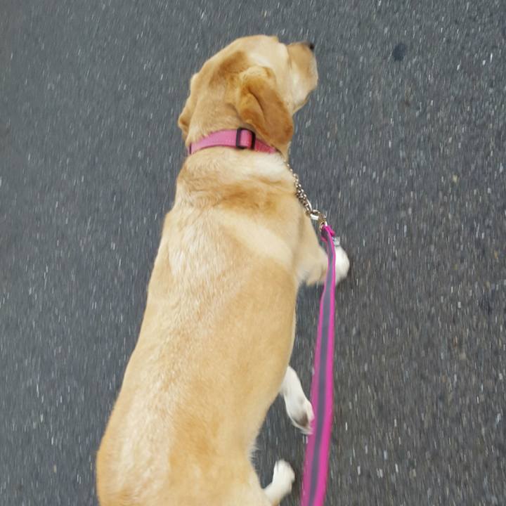 090fa378 94c5 415d b36e f923b21270f0