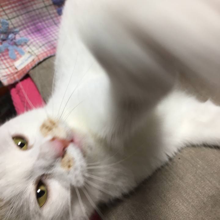 09109383 c10d 472e bbec f0c9712fa557