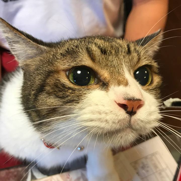 0910ba7b 1fee 48da ac94 6558bd9bece4