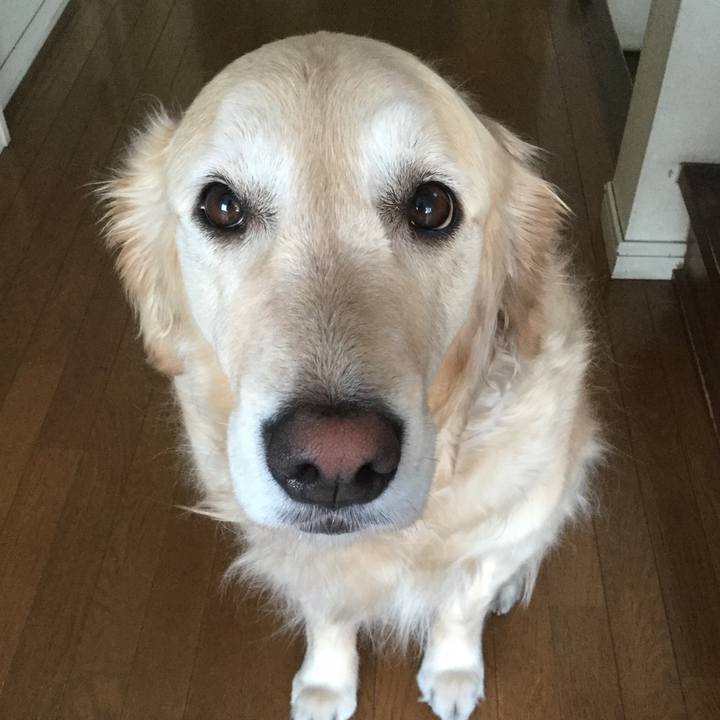 0910e177 236c 4e39 a2d7 440ad15b25fc