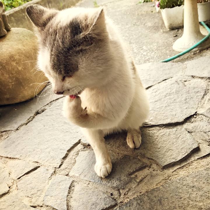 0910e538 a7a3 4d64 84bb 49a7ca0ebffc