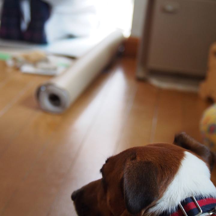 0911b42f dd28 431e b3b6 437d2a27253c