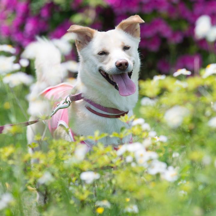 0911c6c9 6473 4604 b57c 6e242f51f911