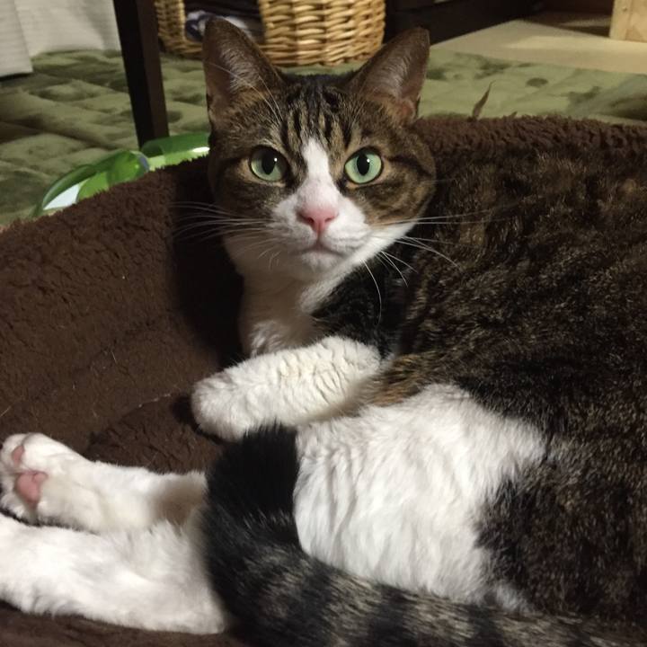 0912315e 83dd 4b1d 9dbc e94a97b12a19