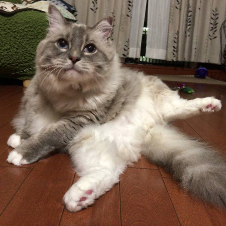 0912ad5a 6955 45a7 97ee 742844d96506