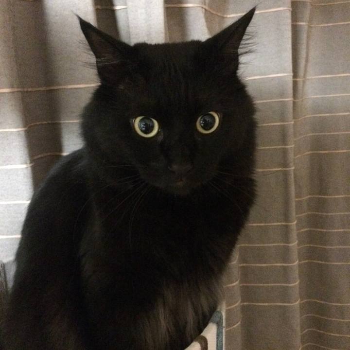 0912bbcd ae84 4957 b36a cb720479bee9