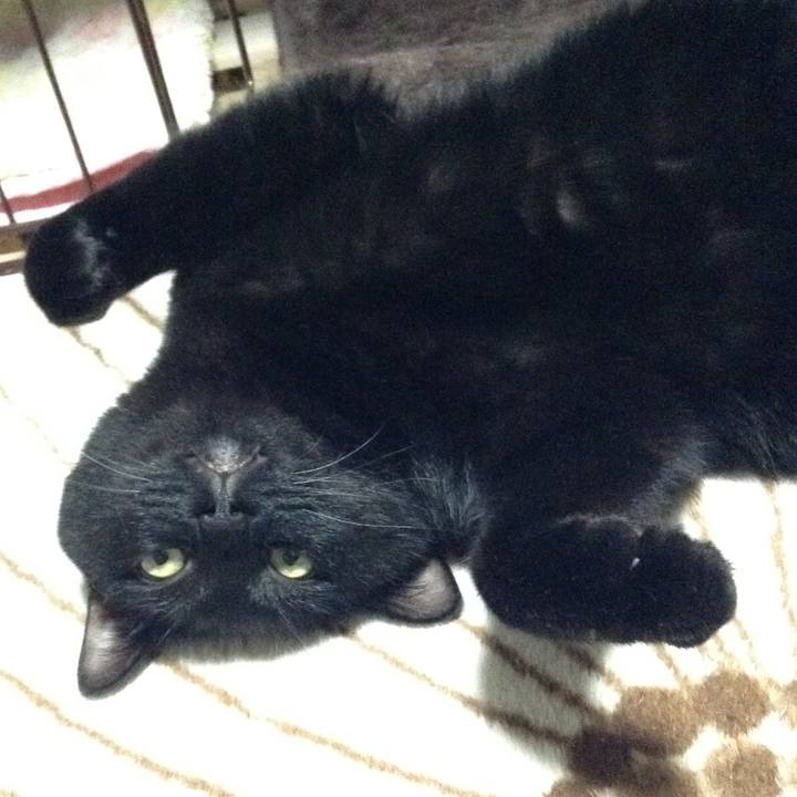 09136b6c fd3b 451a 8ded ff0b60a4ff98