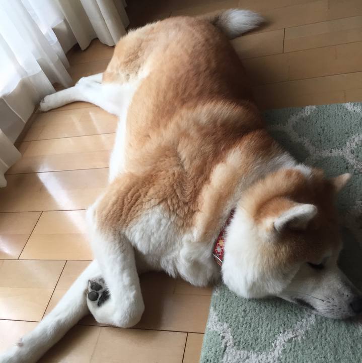 091407b6 8817 4a9b b46d 96e844284723