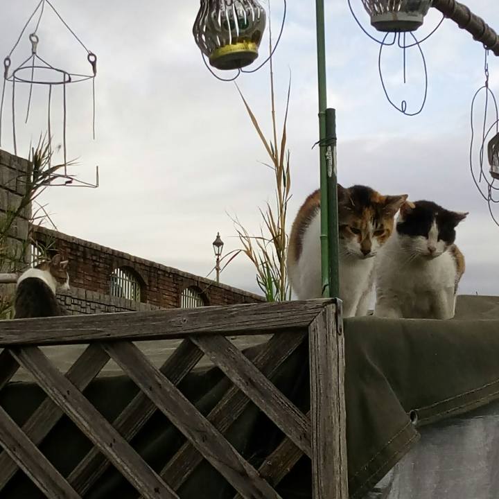 0914cd4f 384f 4e46 a915 a22fa30dc31c