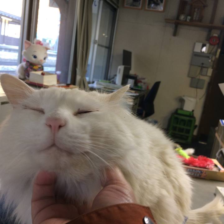 09152aa1 5728 47da 883a 05de132086b9