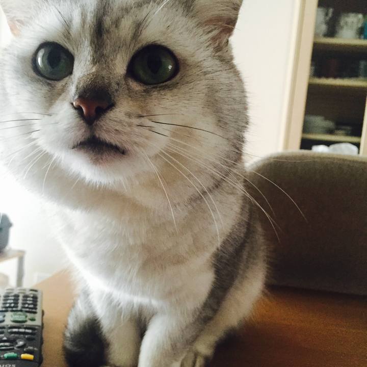 09155a2c 2211 4303 8812 52666909fd84