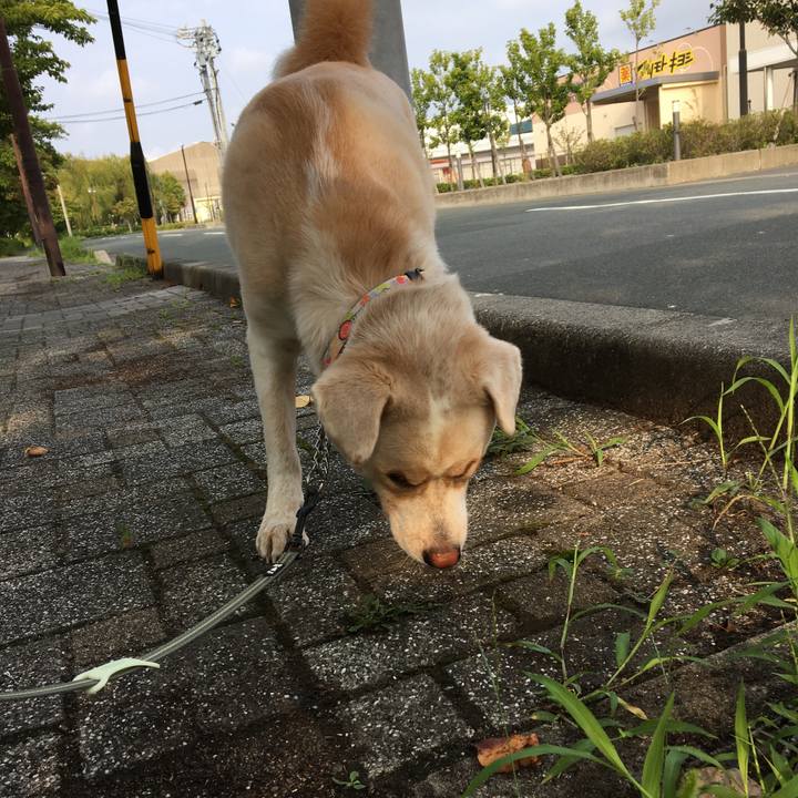 09157989 4706 4d2f 9331 aa399bd1e0c5