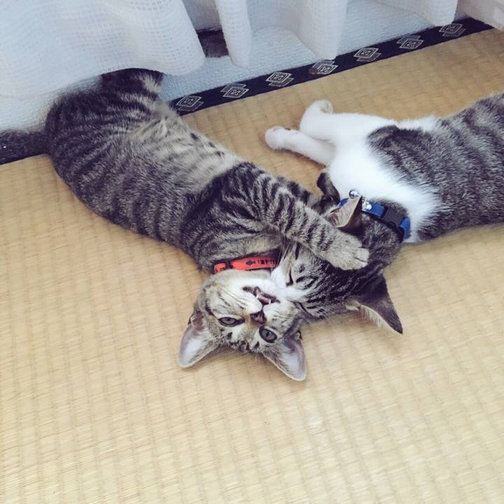 0915834b 6bd1 45ce abd7 6cf123fb98ce