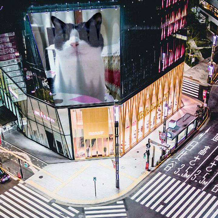 09159f87 72ba 45e3 b431 b624c4f8a05e