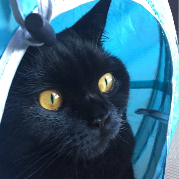 0915aff0 a27d 4c0f 95eb add3700dd0ef