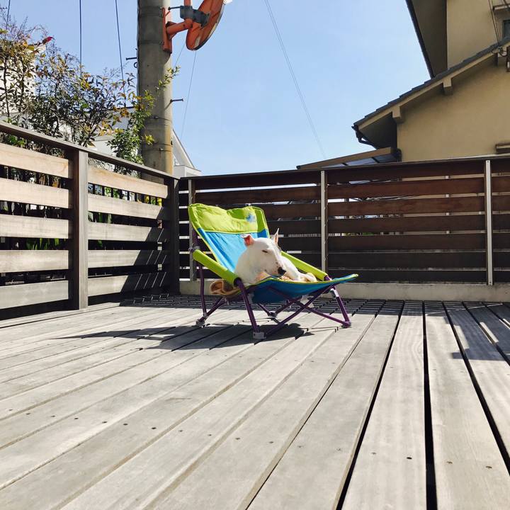 0915cfc1 2300 40ae 81c1 ba42d7c8919a