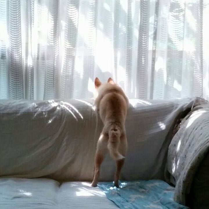 091676e5 cf3a 4dde 89ce 01fd78cc5c2d