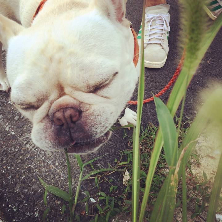 09168db2 57a1 4040 9fa4 760b3c94b36c