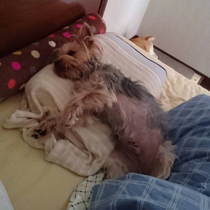 09169dc2 1f24 450f 9e67 bef7c1c63068