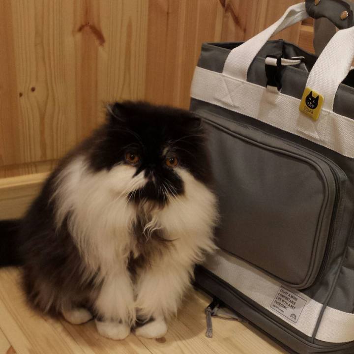 0916ea40 5d18 47e4 b3c8 29d2ca890453