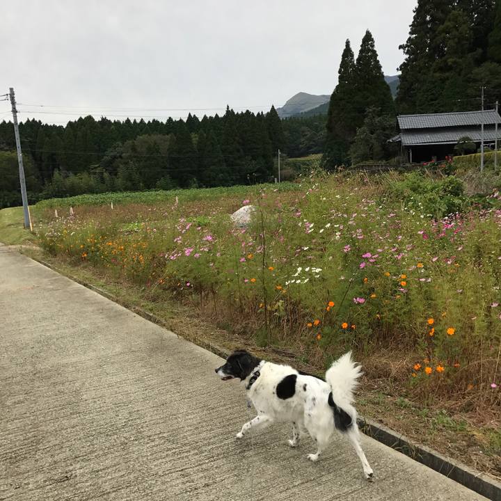 091707f3 e7f3 44e7 80e9 53a400350b4b