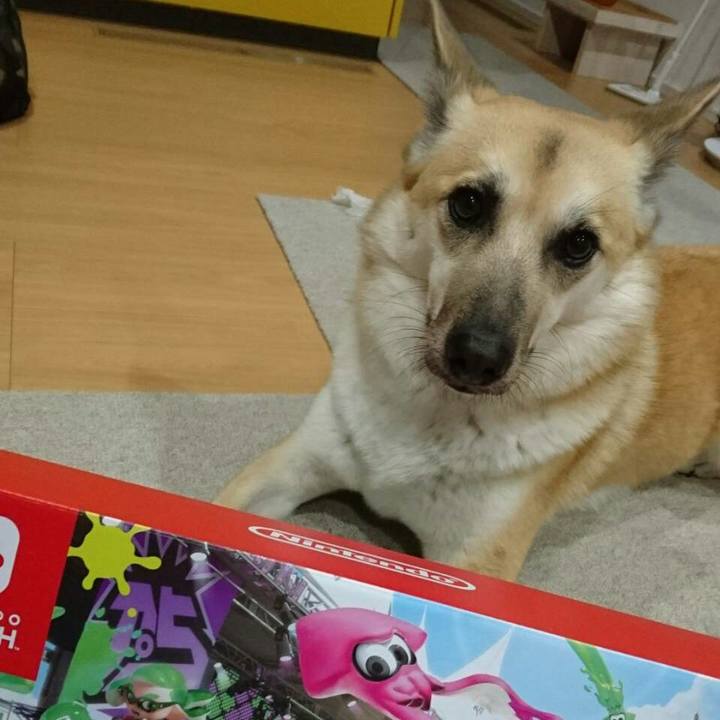 0917328a bba6 498b 9808 ccde3443b997