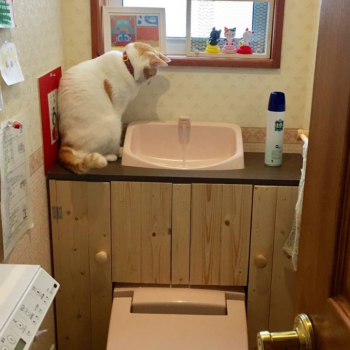 091851f7 7f5d 49d4 a6f7 4f2804ced4cf