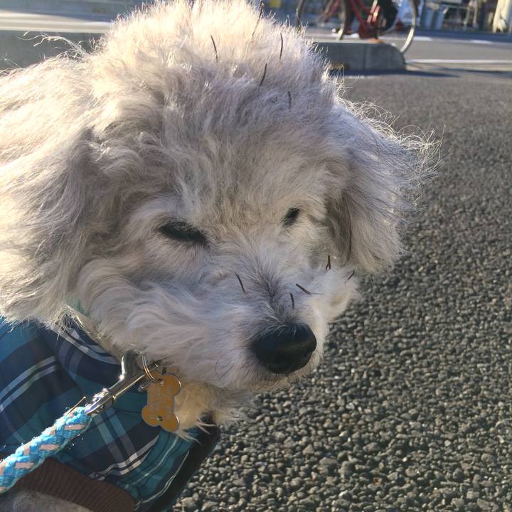 0918cd18 d166 4315 8b56 099d61ba8daf