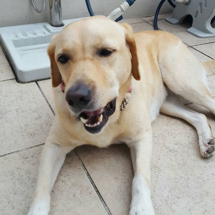 0919f800 4caa 47d6 87e1 e72a3a2f1f91