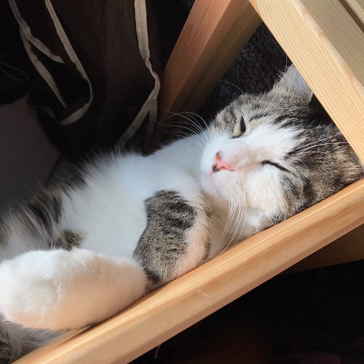 091a9abb ff2a 48b3 ab62 4a1993baeb9a