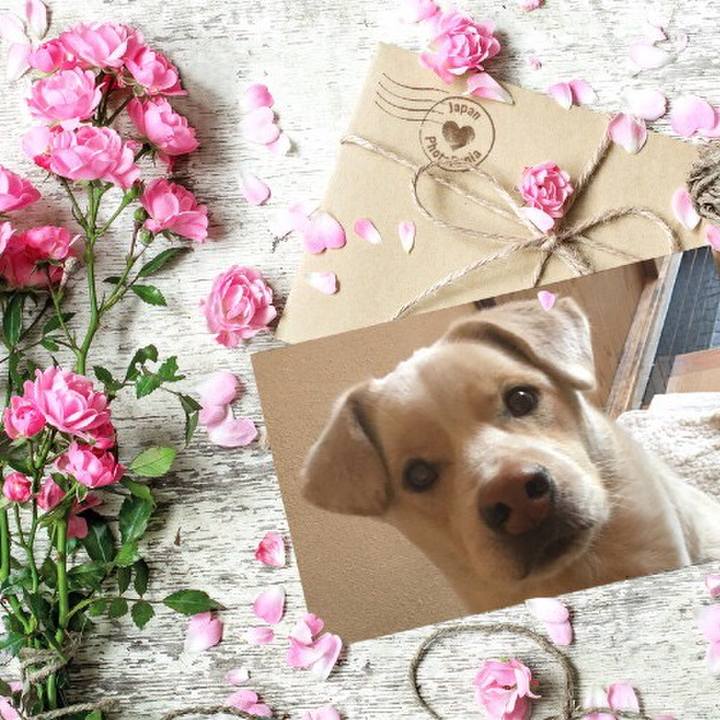 091aa383 b0b5 4745 85f1 97c4ac5571bc