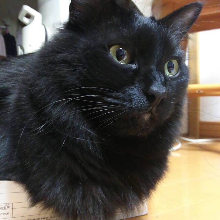 091ae09b e524 46ae 8581 8c413b379341