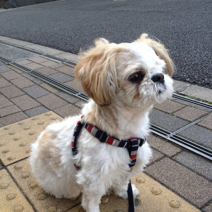 091b5252 838d 4bad 9a94 a303995e3769