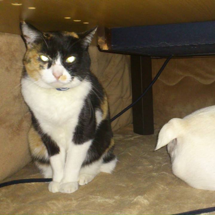 091b9e64 ae38 404d 9505 ad3031d597d0