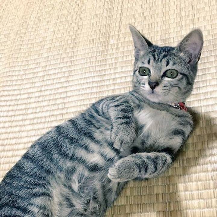 091c1754 6e95 4cd5 908f 90e32a7d57a3