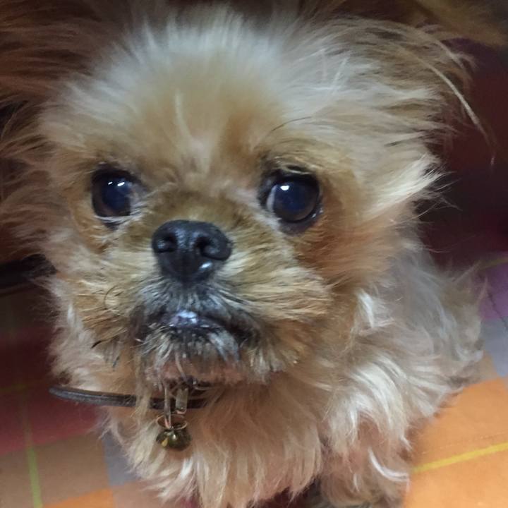 091e14f7 7048 4764 b0d5 ebc147f9bcfa