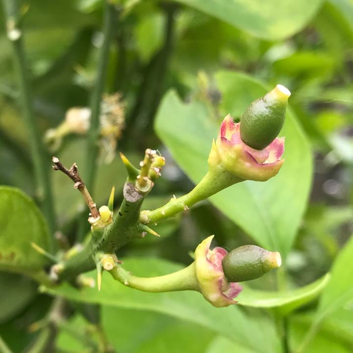 091ea3a5 7fcb 488b ad2e 15017f6ddf3c