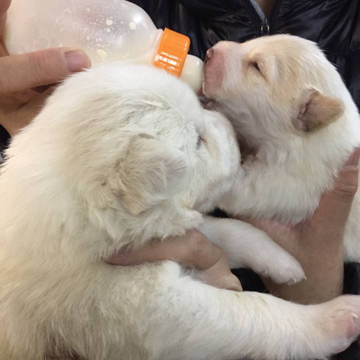 091ec319 ae10 4ce4 baa4 4e950e633ba9