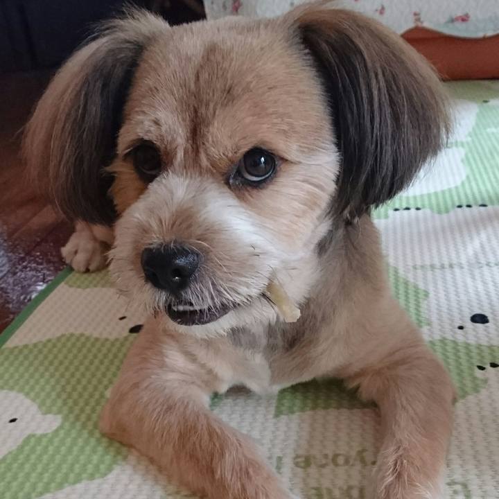 091ecaf0 de78 4256 93fb 9c5c8d93d444