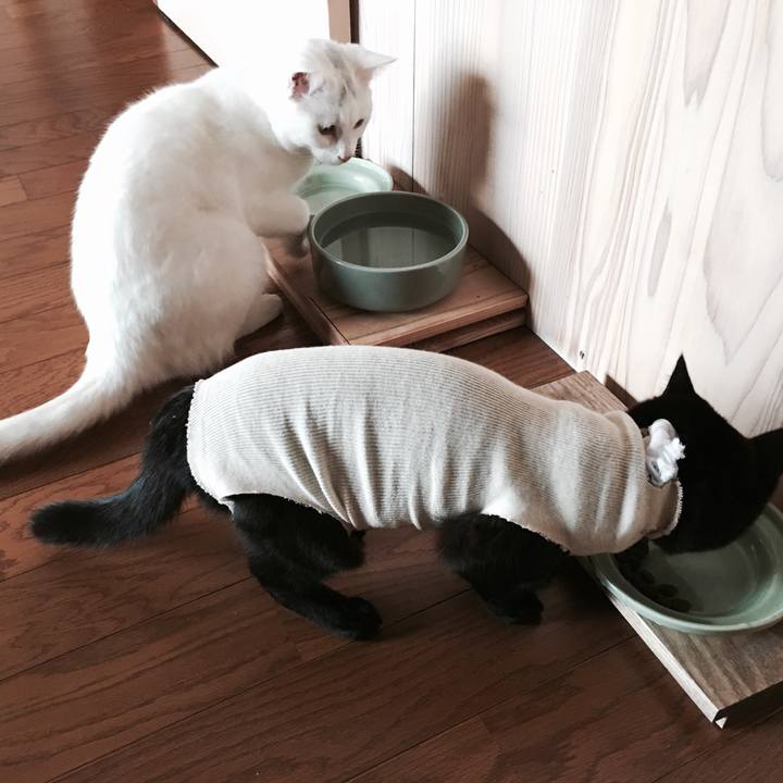 091f55e5 05cf 4703 bd20 eab9f8a9a169