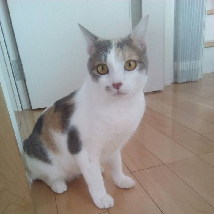 091fbf5e 535b 49d5 9818 3b70261576f2