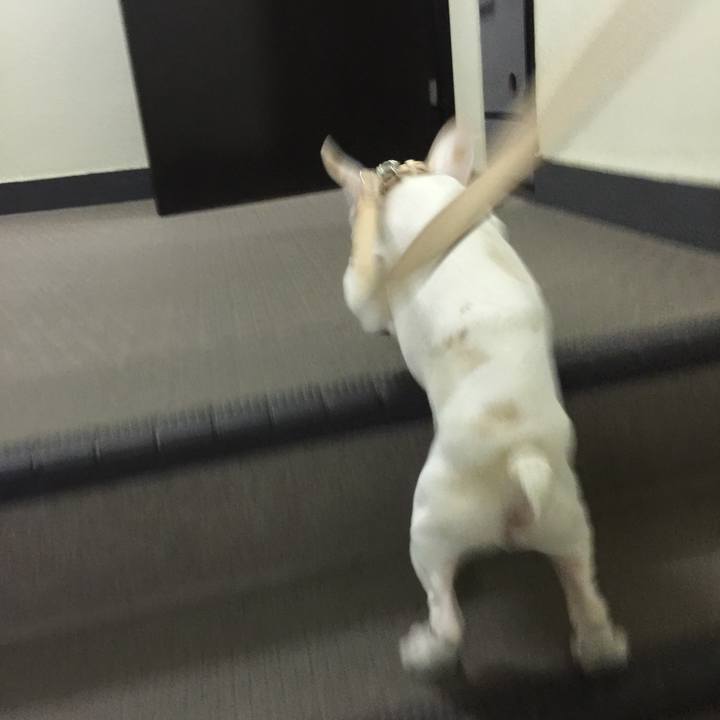 091fe575 b684 4092 89b8 53333acfe5af