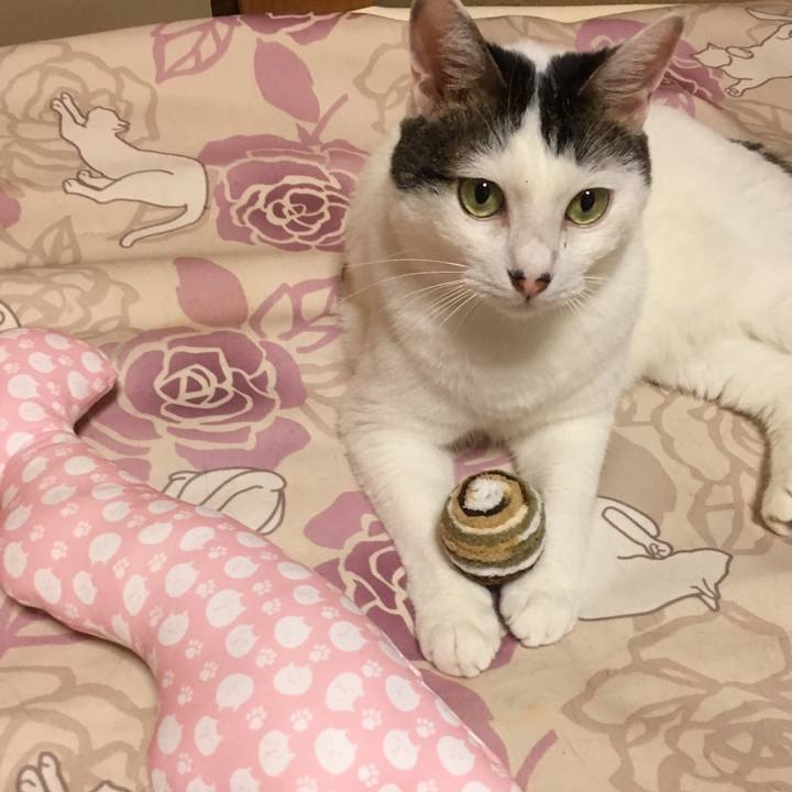 0921677f 391b 4019 b931 4cf1457e8169