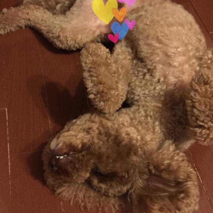 0921cbe2 382e 457f b006 fa75a1a24d34