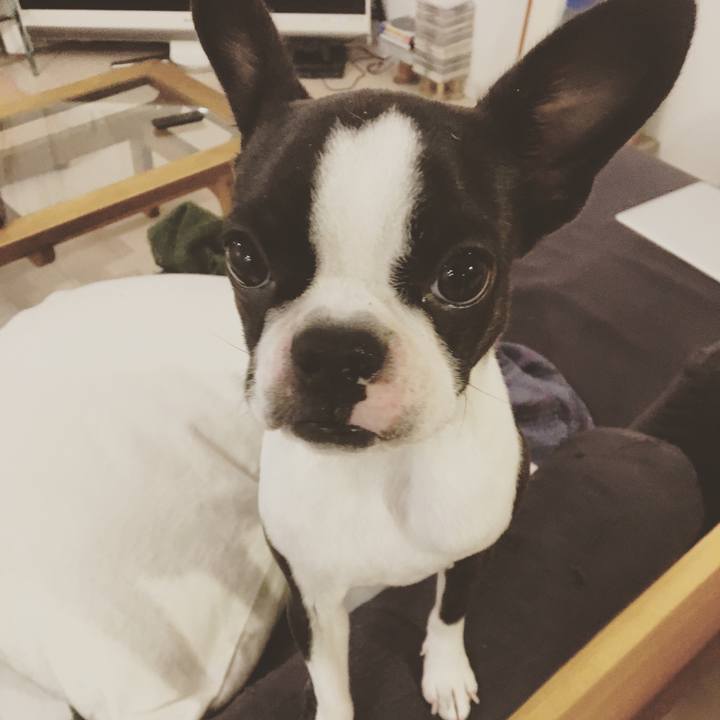 0921e91d 192c 453c a4f0 352cd41753dc