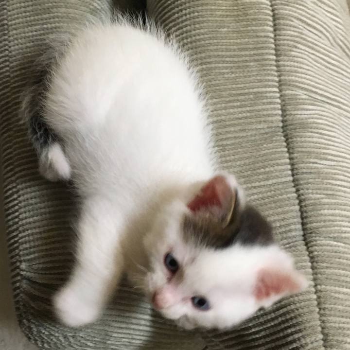 0922697d cd6d 455b 8720 7a70b5672979