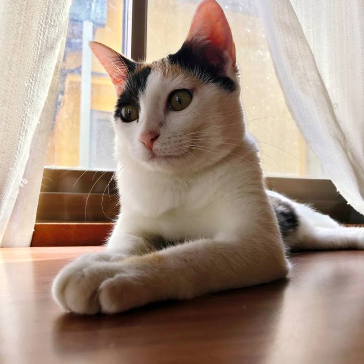 0922e75a 13da 491f a3b0 99d243bf2e7d