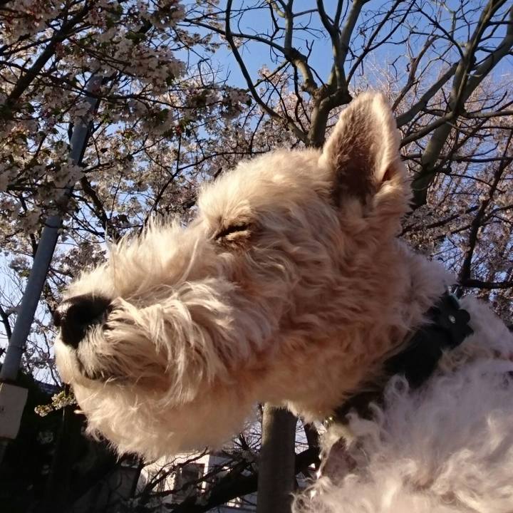 09235b82 5b21 41b2 afe0 f3853f55b320